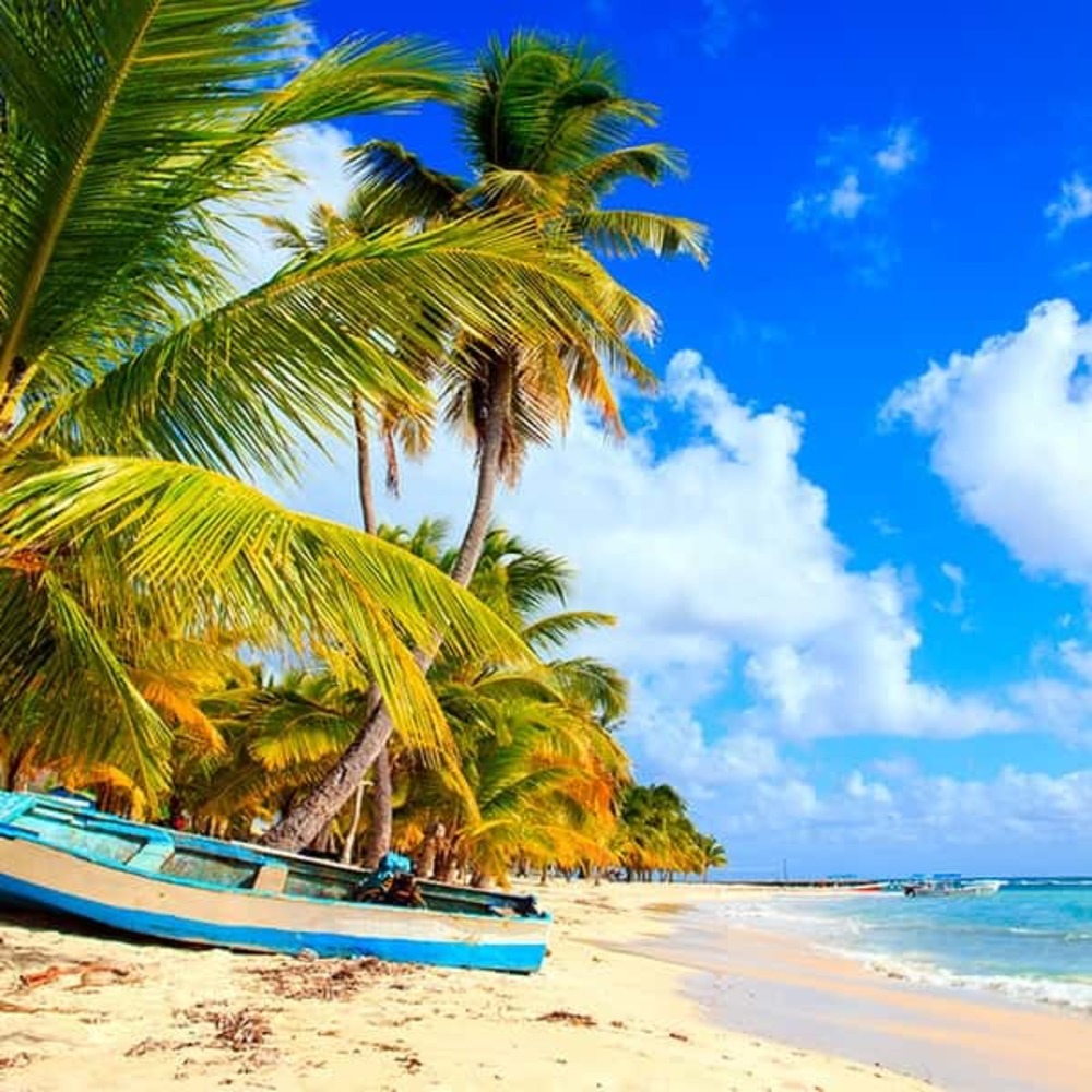 Meet your Posher, Maggie